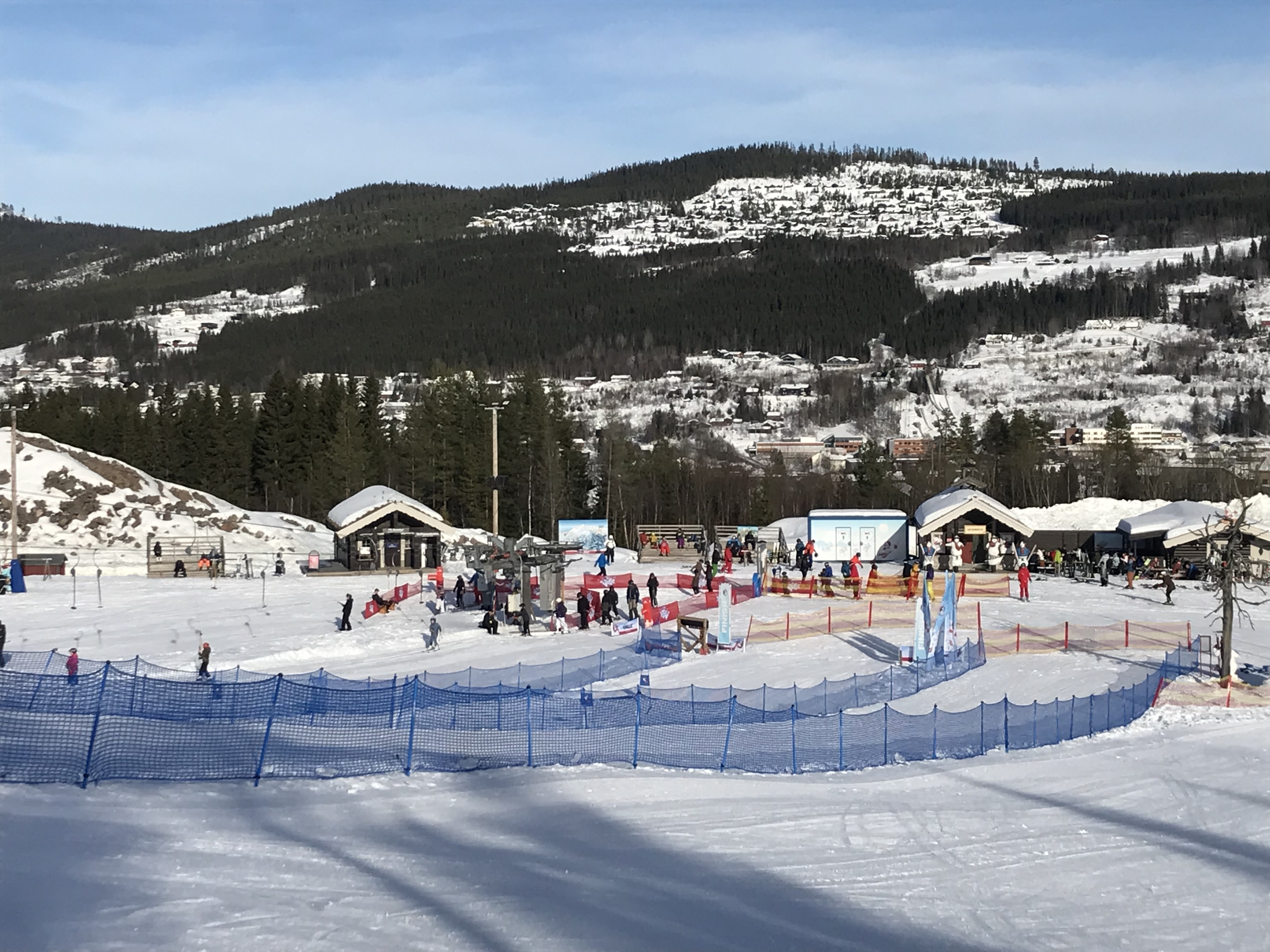 Skibakke med træer i baggrunden og blå himmel