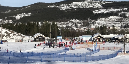 Skibakke med træer i baggrunden og blå himmel